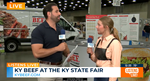 august wave fair
