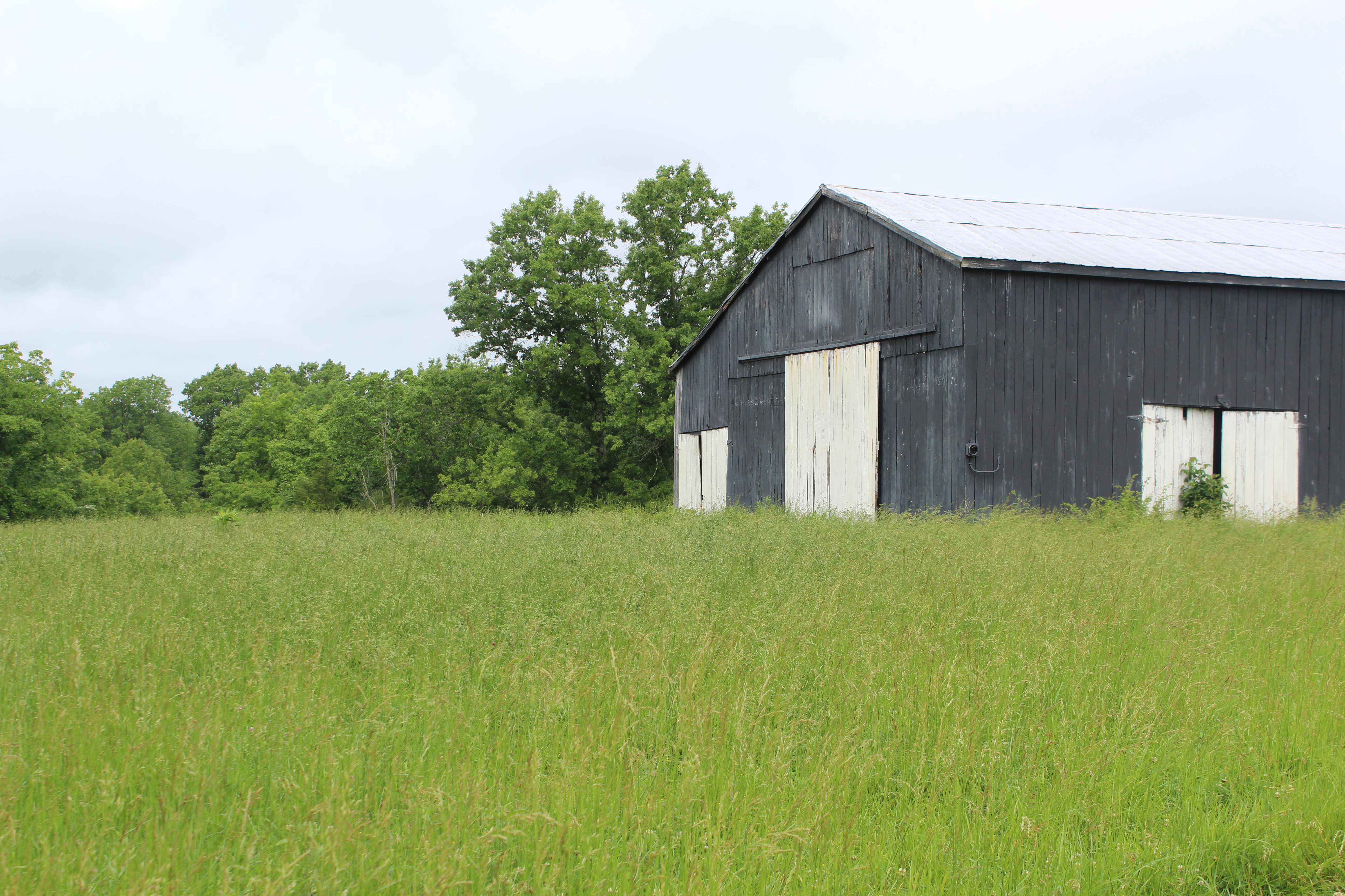 Farm Photo