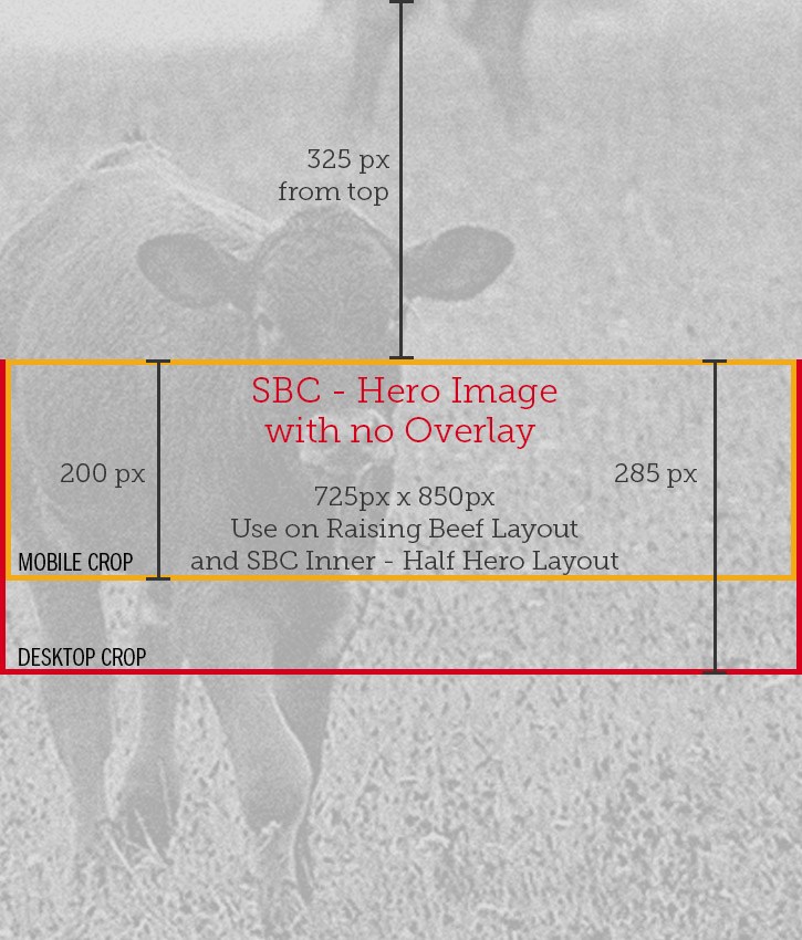 This is a template image for the SBC Hero Image with no Overlay content block. This content block is to be placed in the Hero page layout section of the Inner - Half Hero page layout.